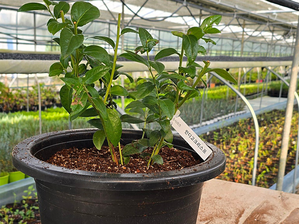 집안 정리정돈 네임스티커 아이라벨 투명 방수 라벨지로 레터링 스티커 만들기