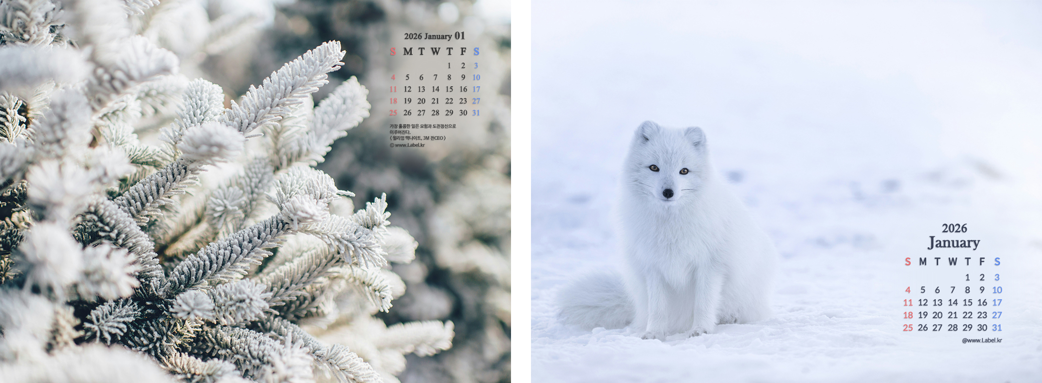 1월 바탕화면 업데이트