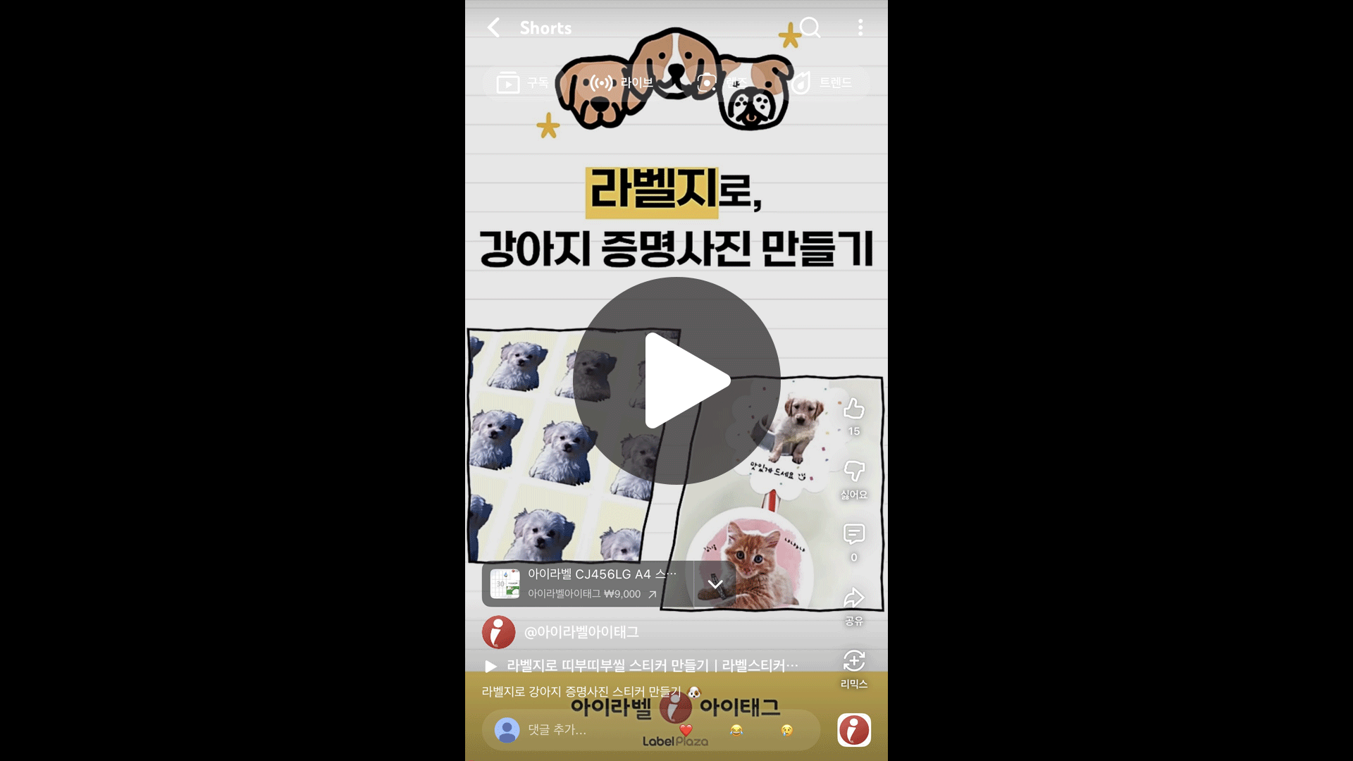 강아지 증명사진 스티커 만들기